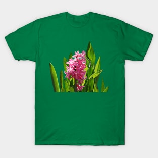 Hyacinths - One Pink Hyacinth T-Shirt